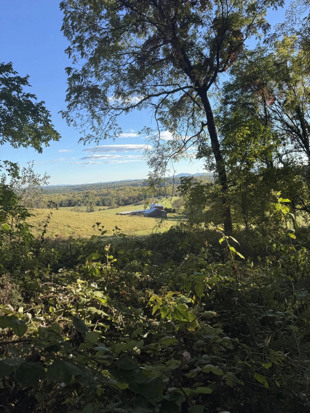 LOT 15 MOUNTAIN GAP RD - Photo 2