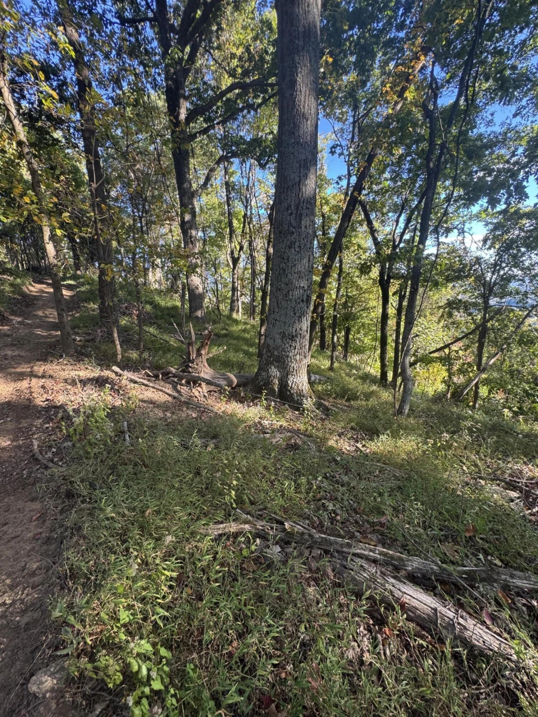LOT 15 MOUNTAIN GAP RD - Photo 4