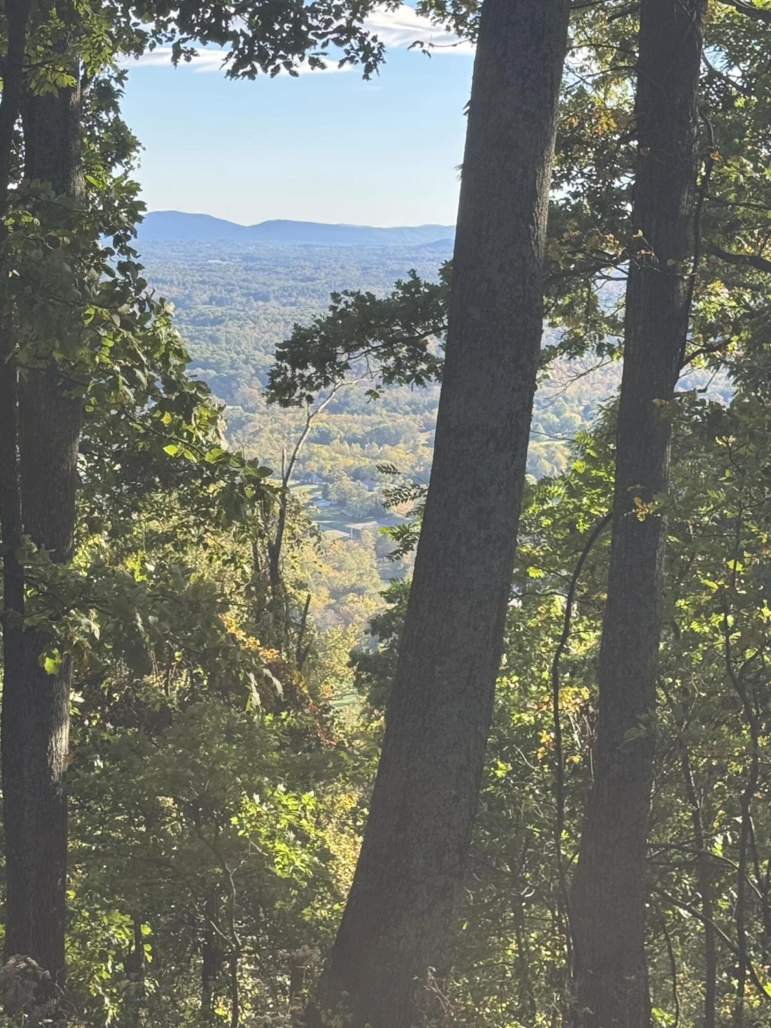 LOT 15 MOUNTAIN GAP RD - Photo 7