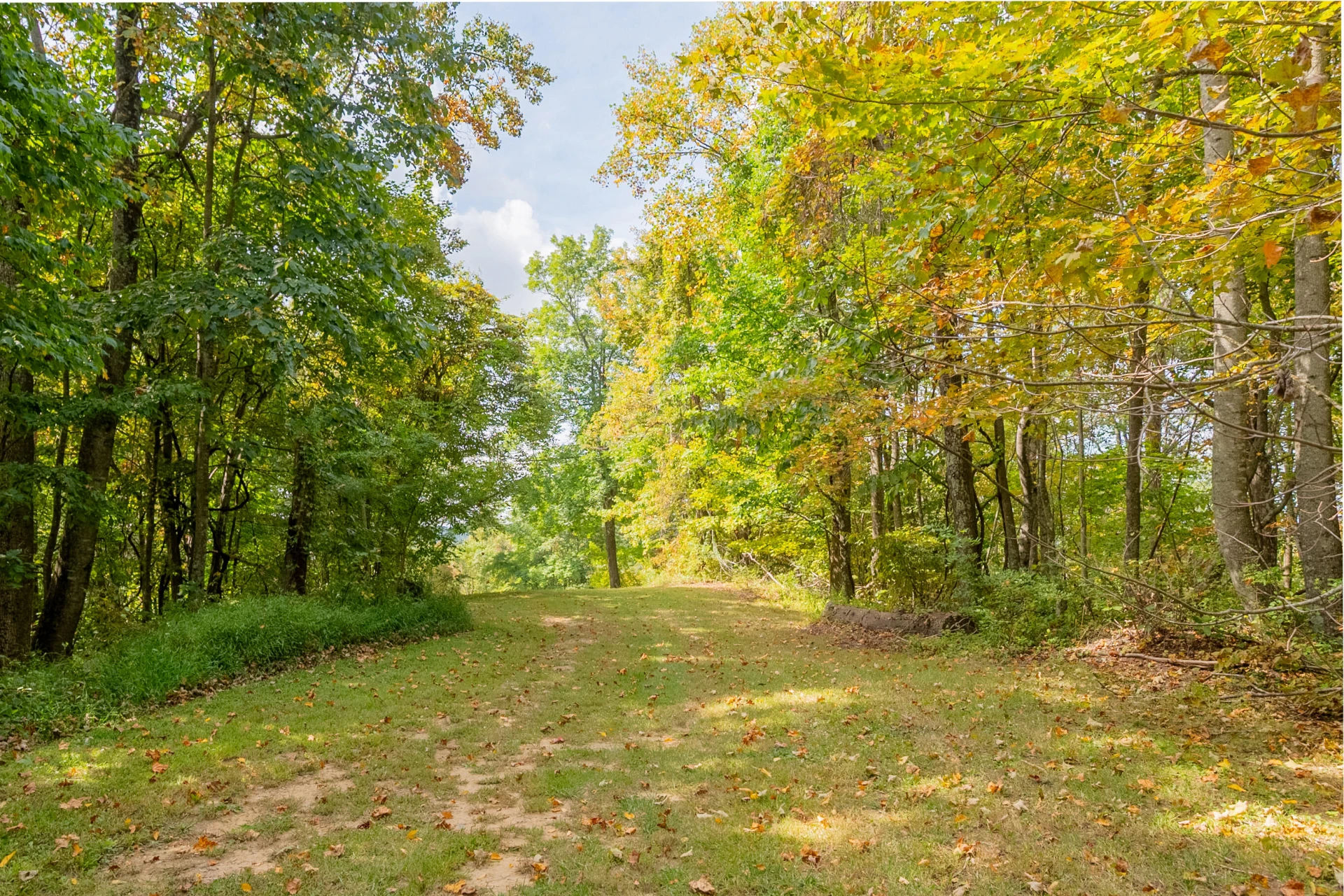 Lot 7 Ivy Fork RD NE - Photo 29