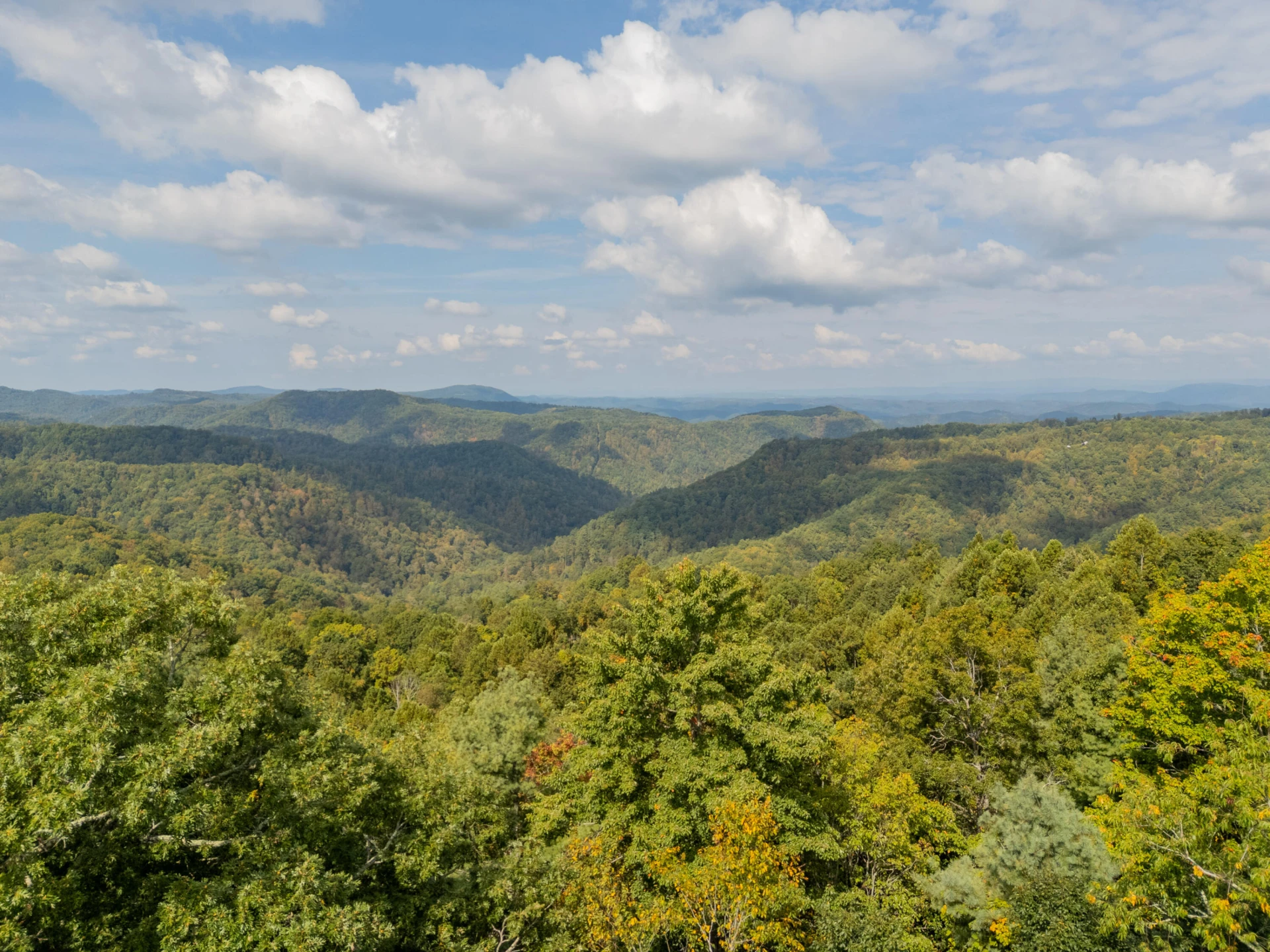 Lot 7 Ivy Fork RD NE - Photo 31