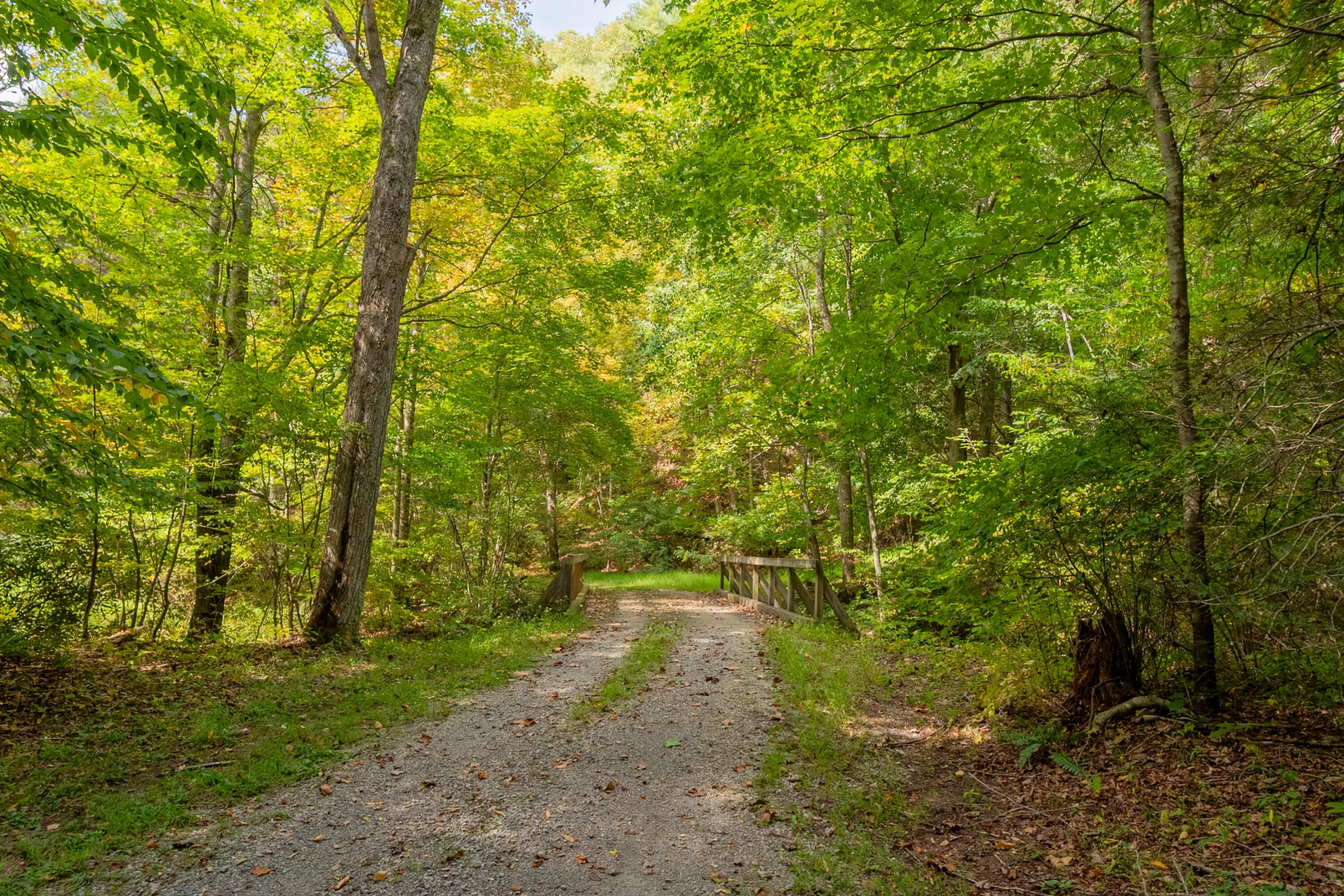 Lot 7 Ivy Fork RD NE - Photo 52