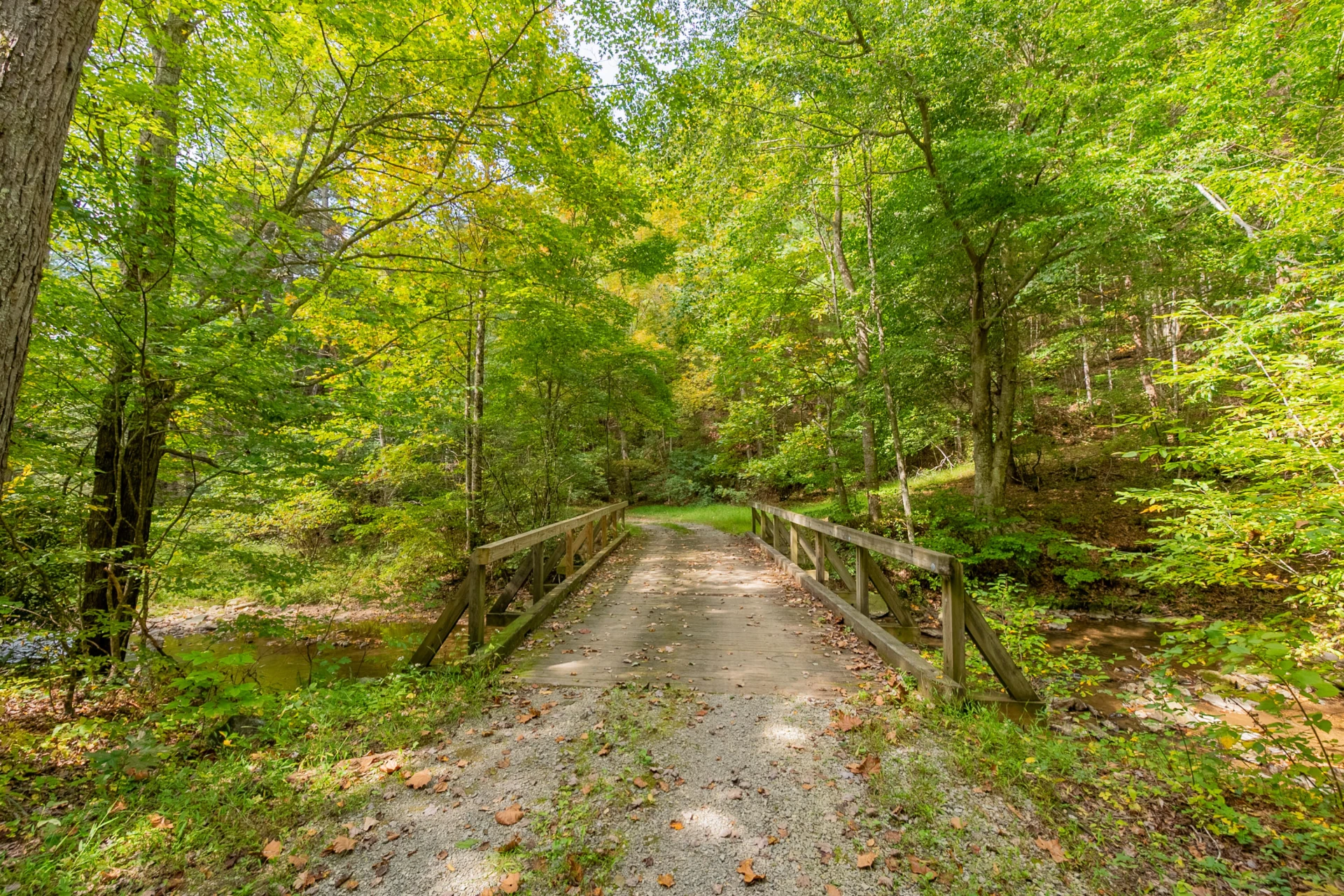 Lot 7 Ivy Fork RD NE - Photo 53