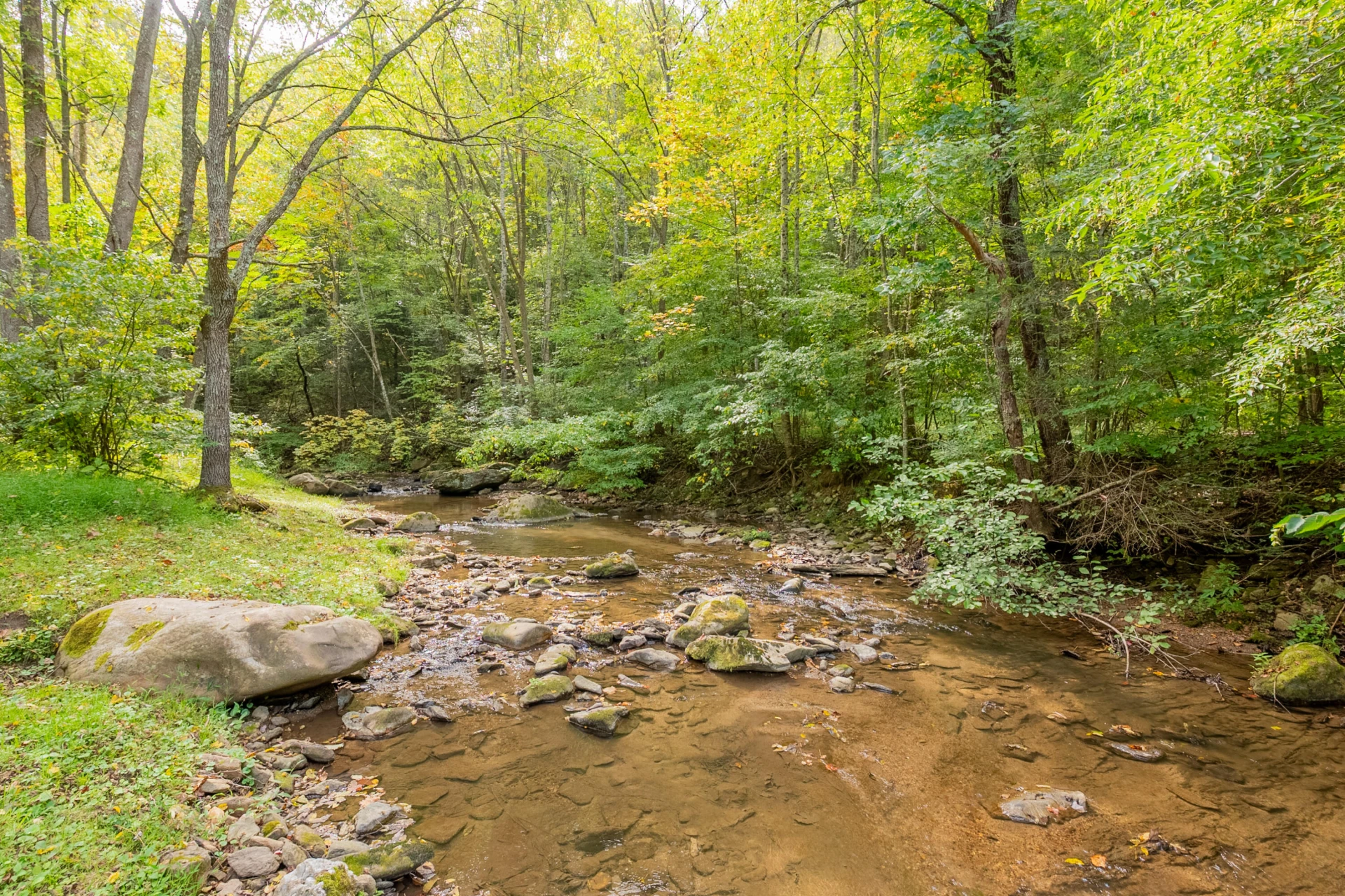 Lot 7 Ivy Fork RD NE - Photo 63