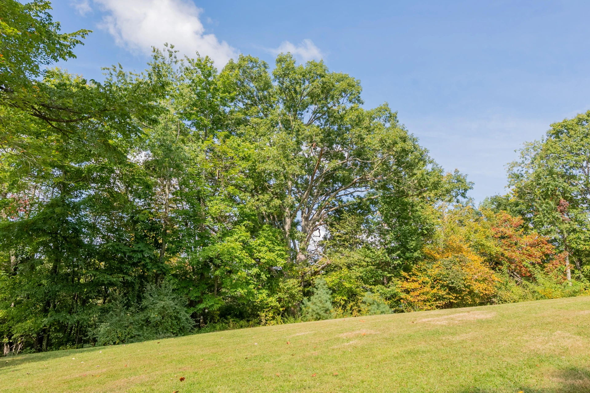 Lot 7 Ivy Fork RD NE - Photo 8