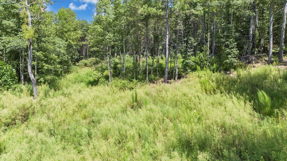 0 Milam RD - Photo 10