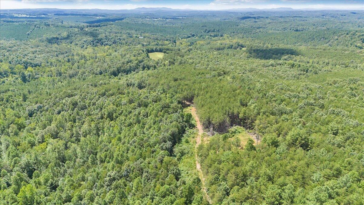 0 Milam RD - Photo 19