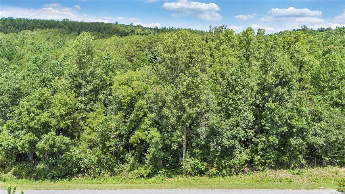 0 Milam RD - Photo 2