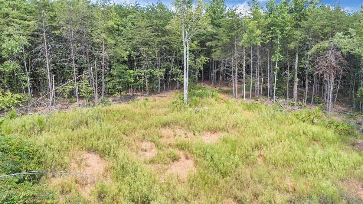 0 Milam RD - Photo 22