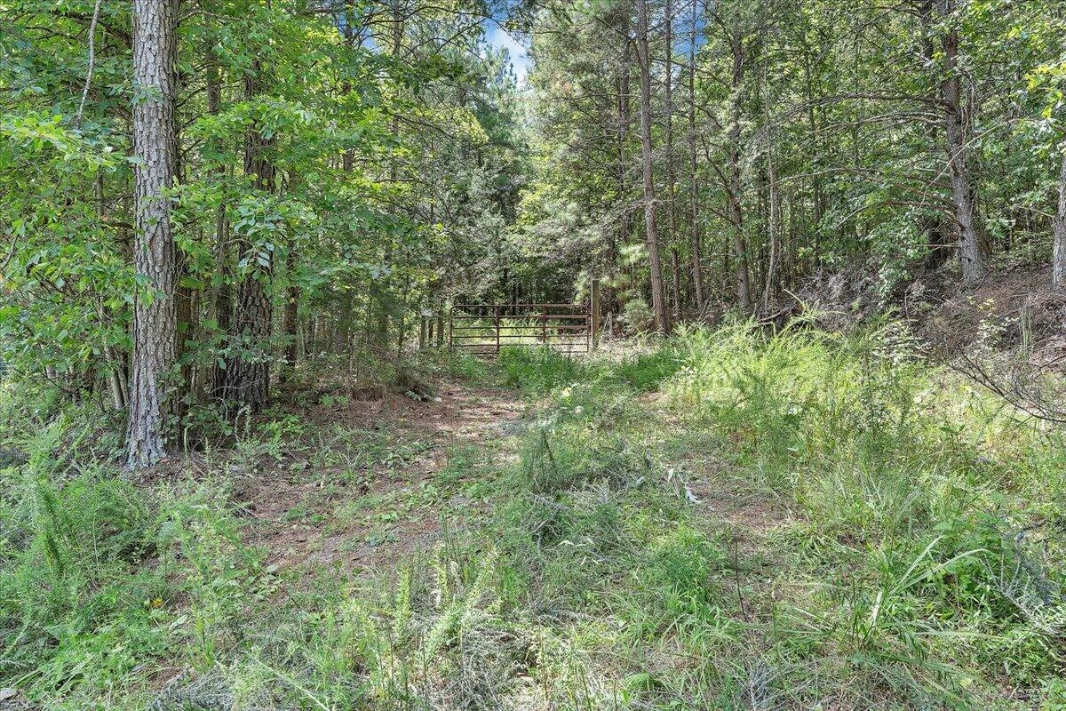 0 Milam RD - Photo 28