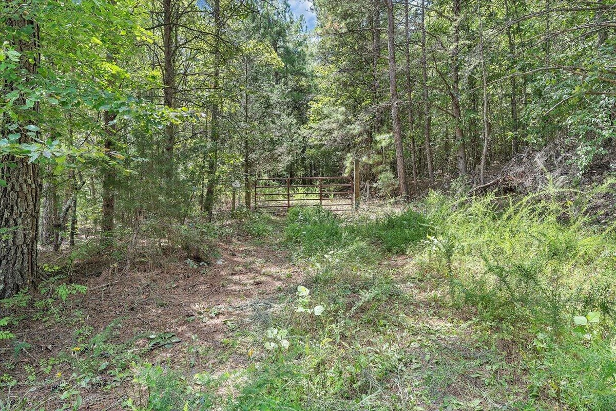 0 Milam RD - Photo 29
