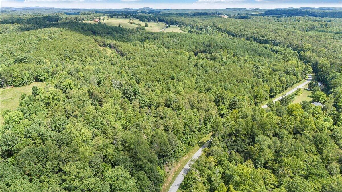 0 Milam RD - Photo 3
