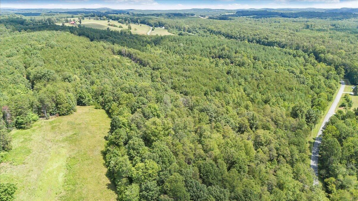 0 Milam RD - Photo 4