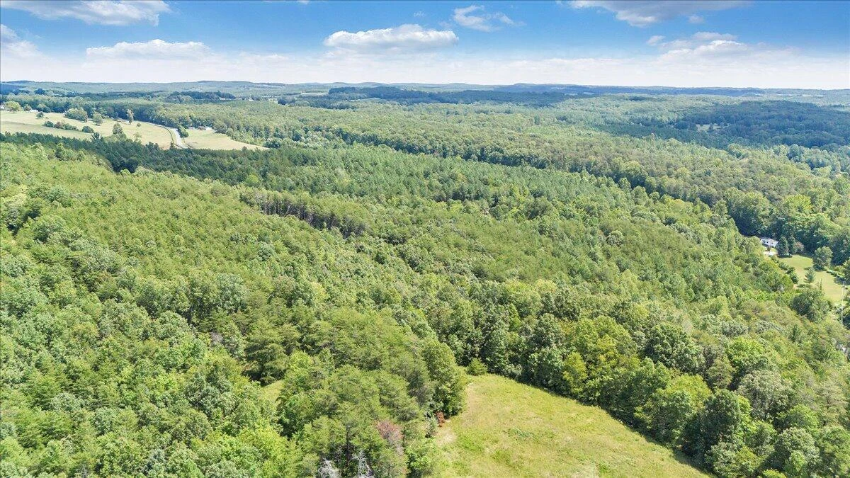 0 Milam RD - Photo 5