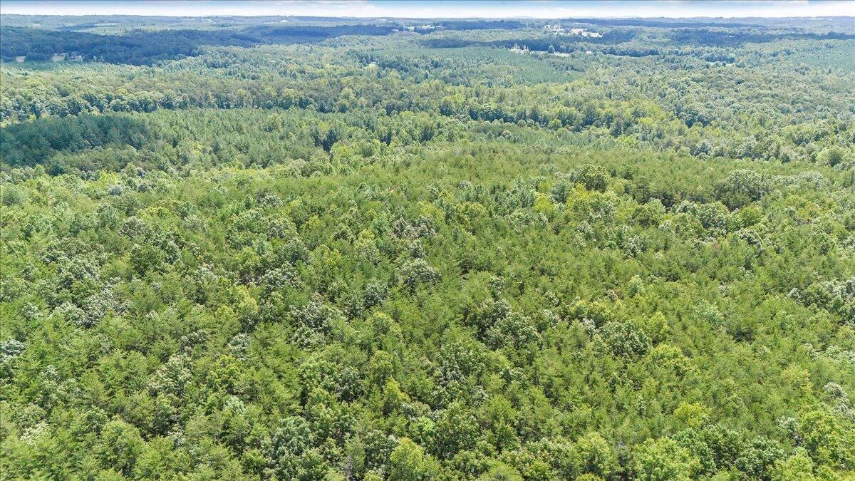 0 Milam RD - Photo 7