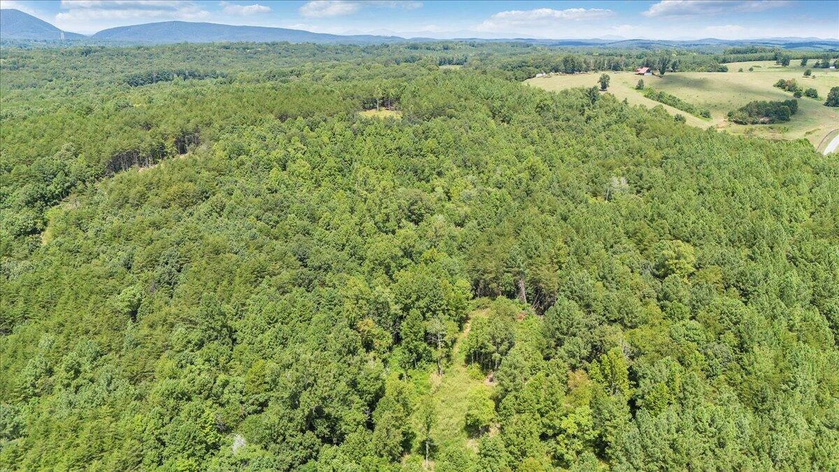 0 Milam RD - Photo 8