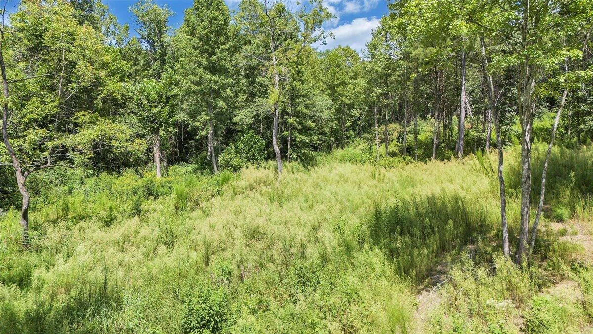 0 Milam RD - Photo 9