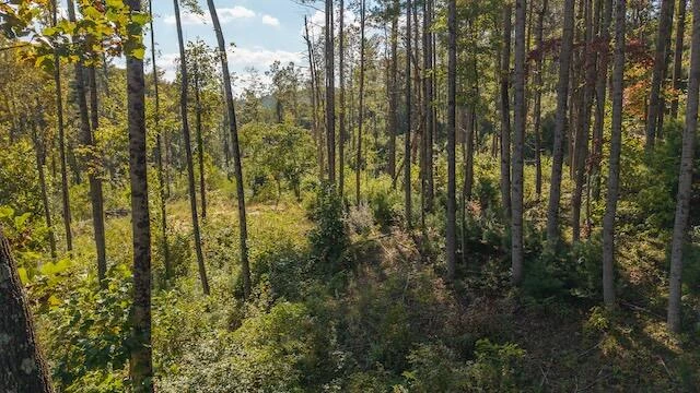 0 Twin Falls RD NE - Photo 10