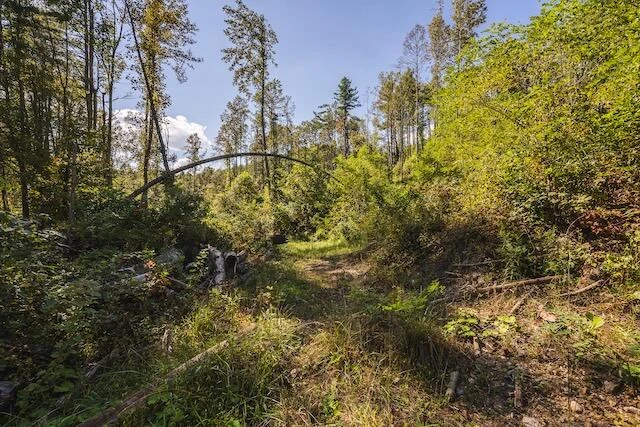 0 Twin Falls RD NE - Photo 18