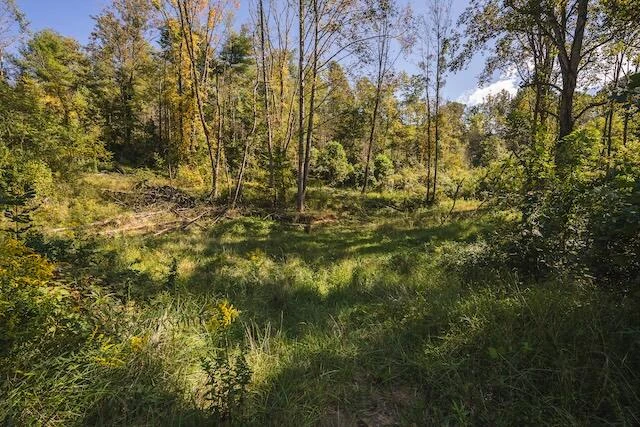 0 Twin Falls RD NE - Photo 19