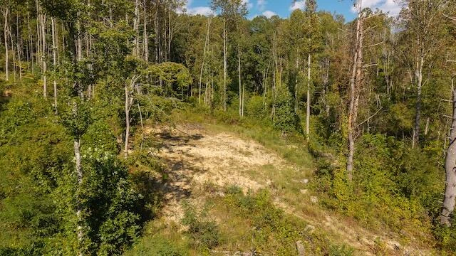 0 Twin Falls RD NE - Photo 2