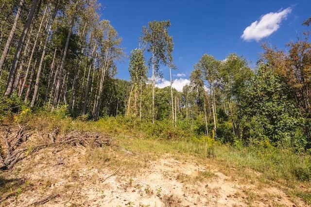 0 Twin Falls RD NE - Photo 22