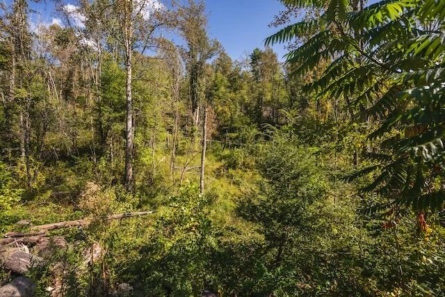 0 Twin Falls RD NE - Photo 23