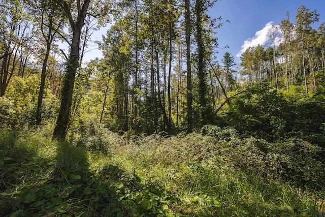 0 Twin Falls RD NE - Photo 24