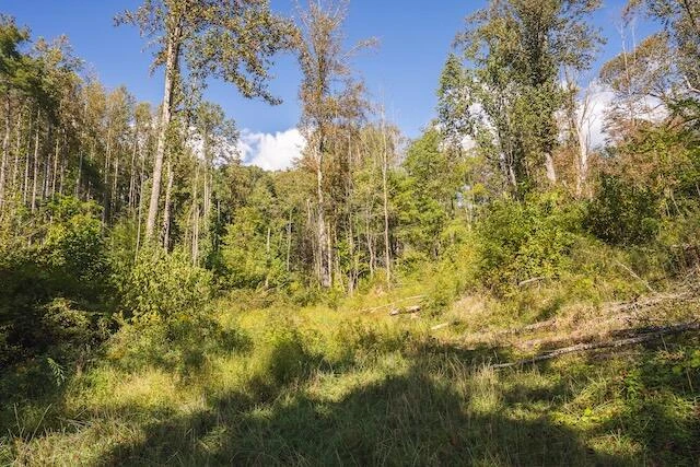0 Twin Falls RD NE - Photo 25