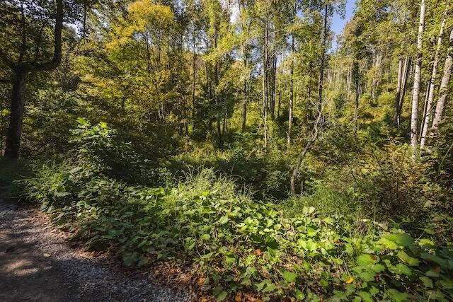 0 Twin Falls RD NE - Photo 27