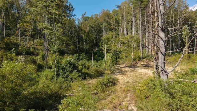 0 Twin Falls RD NE - Photo 3