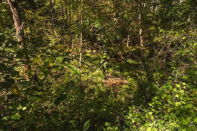 0 Twin Falls RD NE - Photo 30