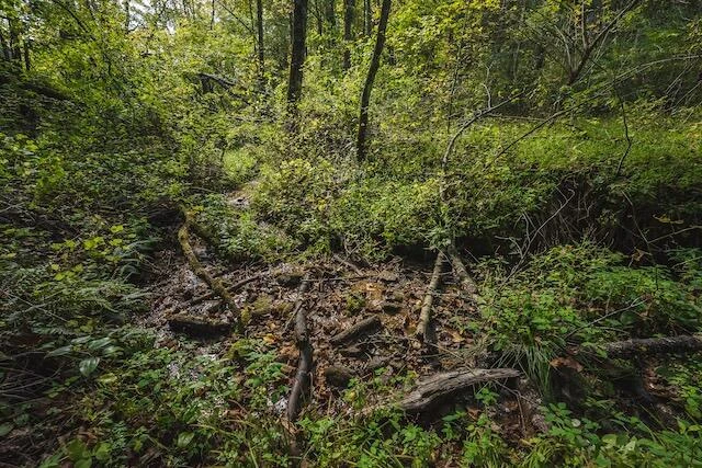 0 Twin Falls RD NE - Photo 33