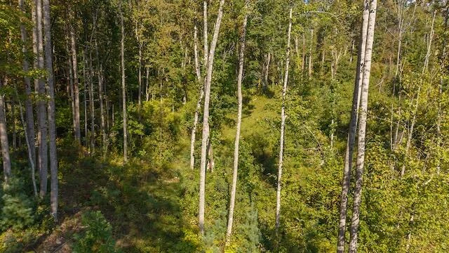 0 Twin Falls RD NE - Photo 8