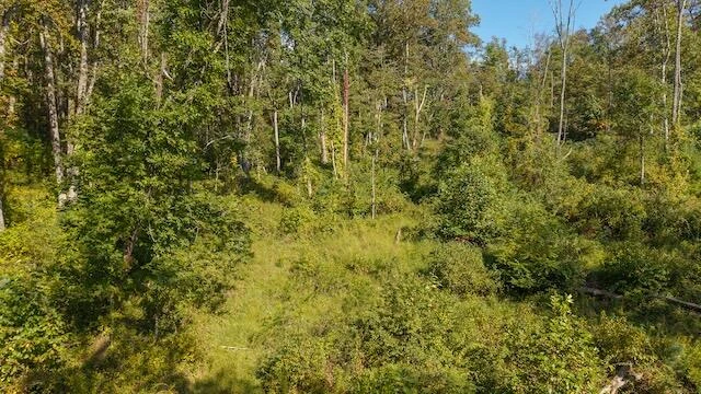 0 Twin Falls RD NE - Photo 9