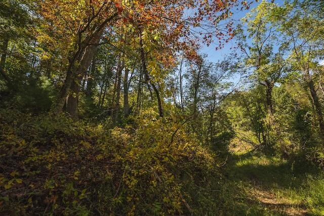 0 Twin Falls RD NE - Photo 40