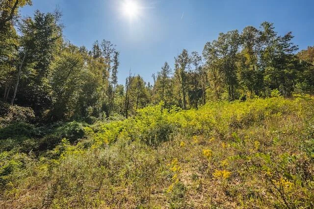 0 Twin Falls RD NE - Photo 43