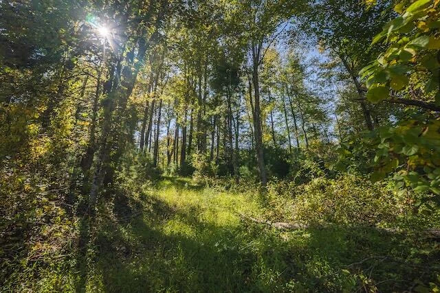 0 Twin Falls RD NE - Photo 45