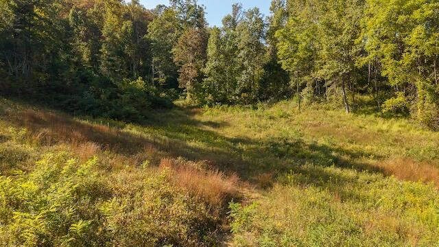 0 Twin Falls RD NE - Photo 6