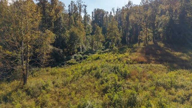 0 Twin Falls RD NE - Photo 8