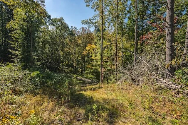 0 Twin Falls RD NE - Photo 10