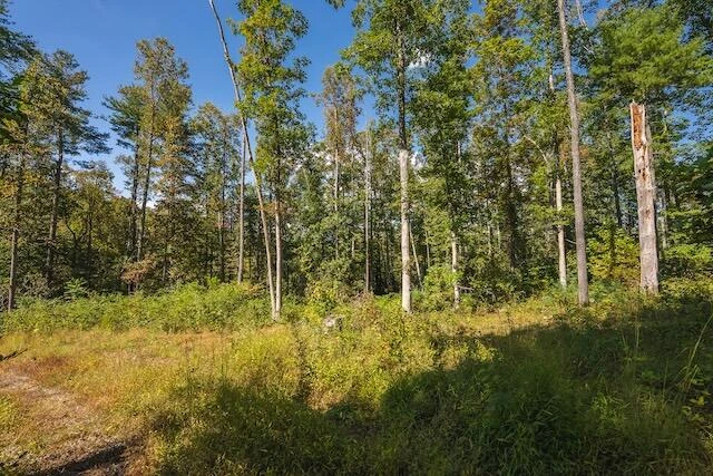 0 Twin Falls RD NE - Photo 11