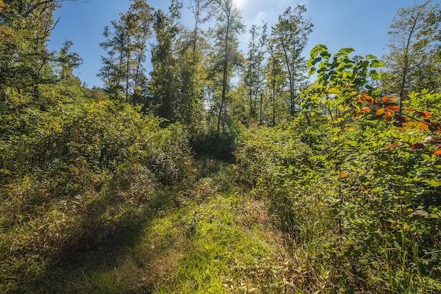 0 Twin Falls RD NE - Photo 12