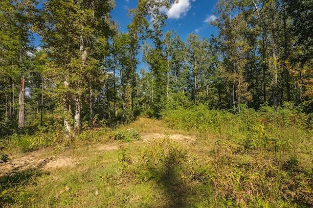 0 Twin Falls RD NE - Photo 13
