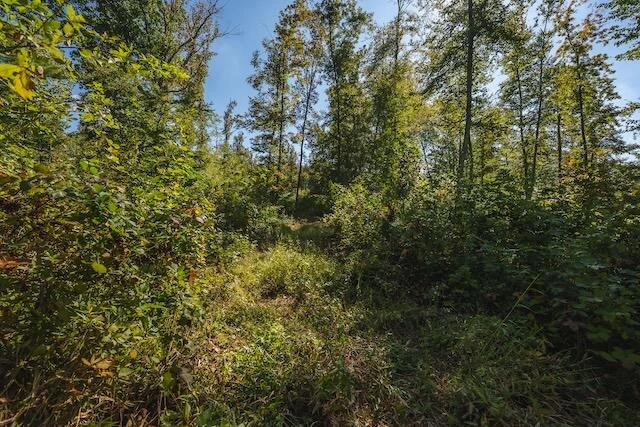 0 Twin Falls RD NE - Photo 14