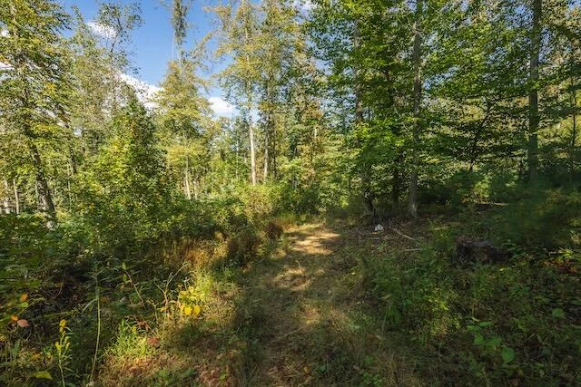 0 Twin Falls RD NE - Photo 15