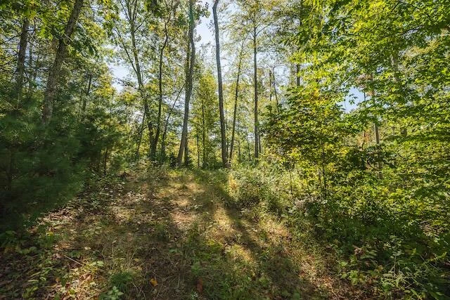 0 Twin Falls RD NE - Photo 16