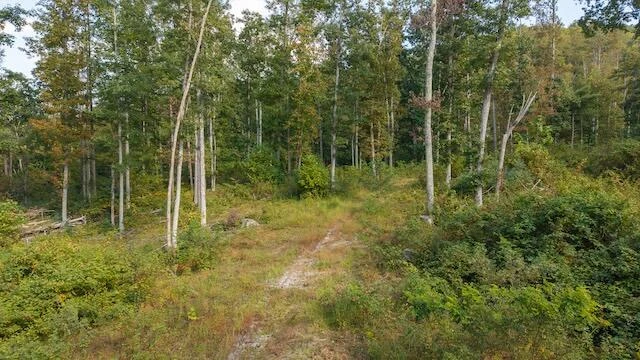 0 Twin Falls RD NE - Photo 2