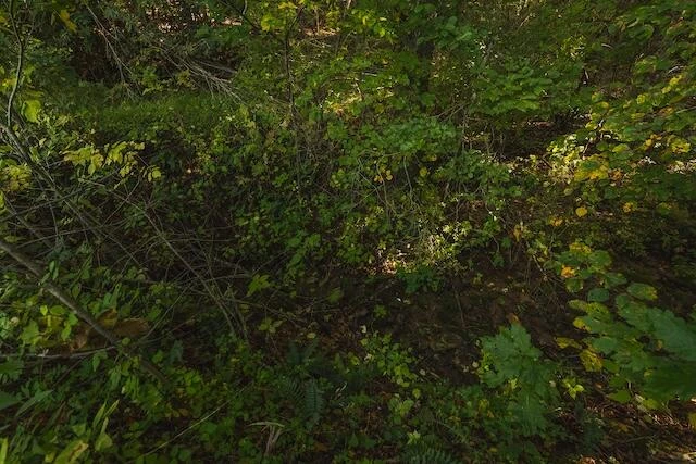 0 Twin Falls RD NE - Photo 23