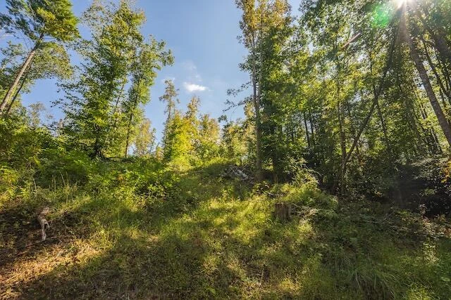 0 Twin Falls RD NE - Photo 8